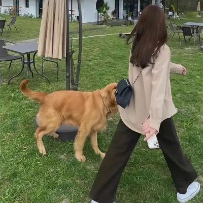 20英呎下：黑暗来临线上